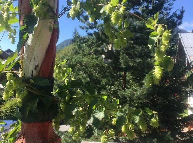 Inn Wildegams Und Brauerei