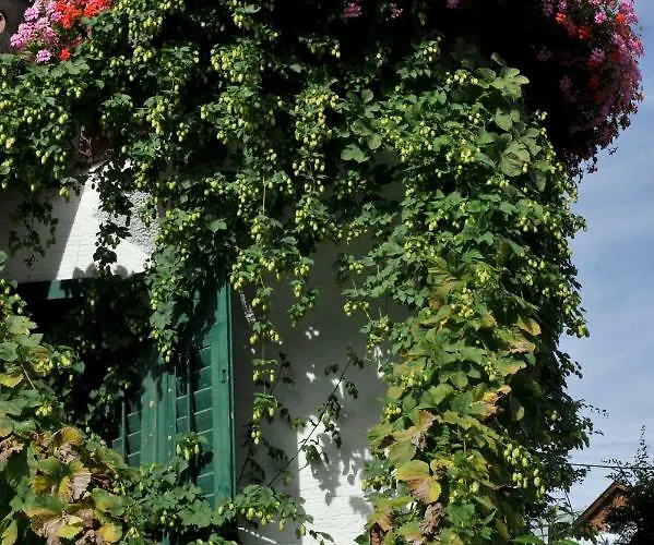 Wildegams Und Brauerei Inn *